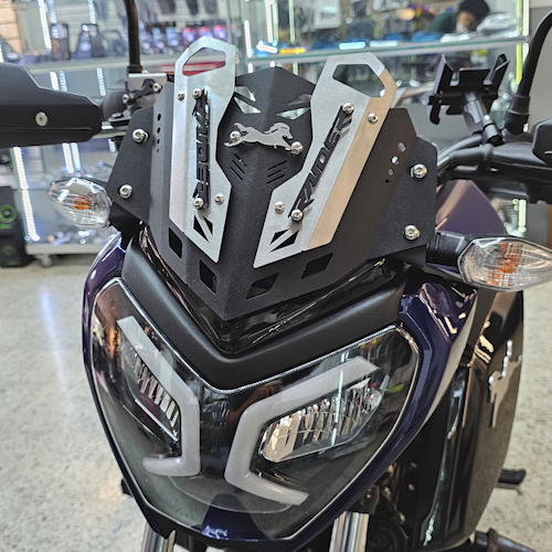 CUPULA EN ACERO TVS RAIDER