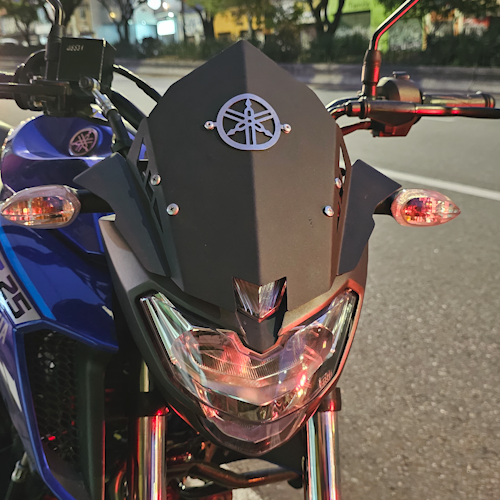 CUPULA EN ACERO YAMAHA FZ25 GRANDE