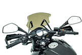 CUPULA ACRILICA CON SOPORTE AIRFLOW FP BAJAJ PULSAR NS 200 - 160 - 150 - 125 UG